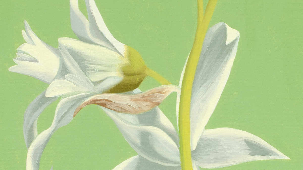 Open Eyes Foundation